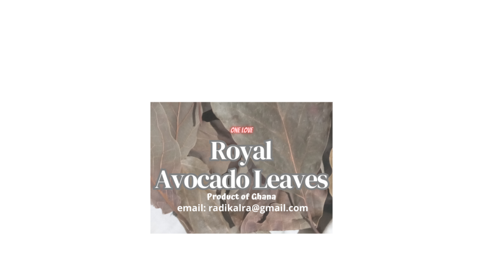 Avocado Leaves